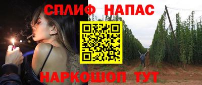 стаф Бузулук