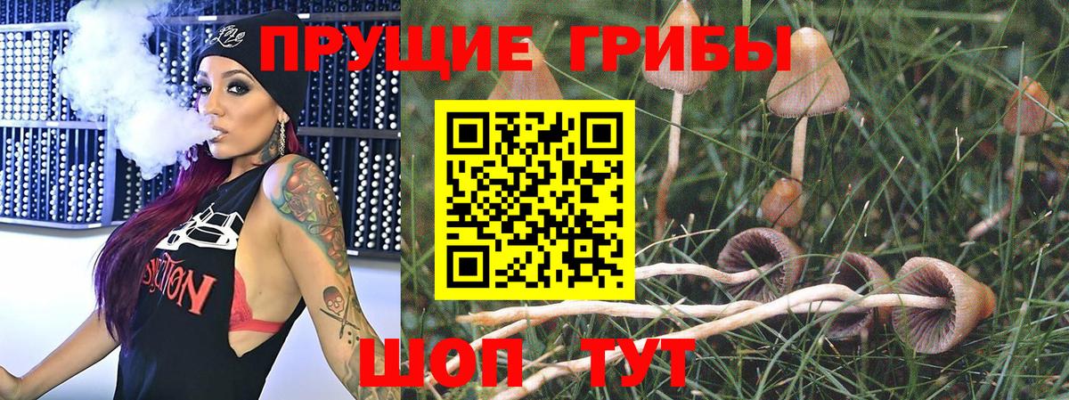 Псилоцибиновые грибы Cubensis  Псилоцибиновые грибы Cubensis  Вход с VPN  Уссурийск 